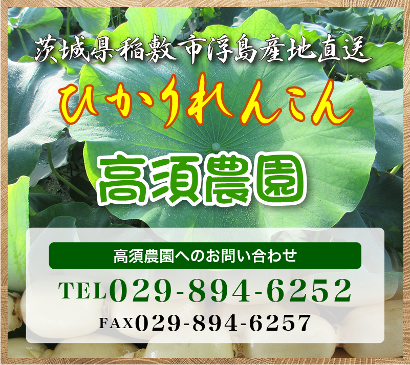 ひかりれんこんの高須農園