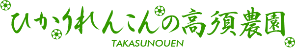 ひかりれんこんの高須農園