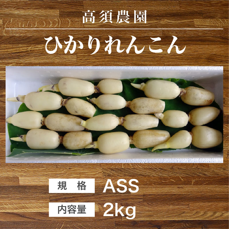 ひかりれんこん（規格：SS2Kg）※9本～11本